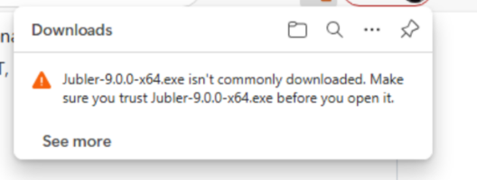 Windows 11 download warning